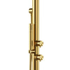 ecomposer-finish-PVD-Brushed-Brass