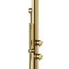 ecomposer-finish-PVD-Brushed-Gold-Touch